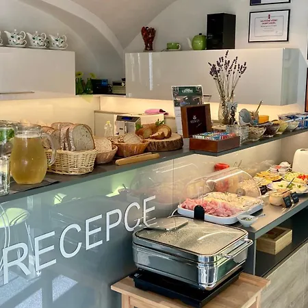 Pensión Wellness U Grygaru