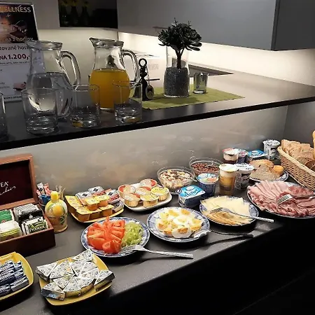 Pensión Wellness U Grygaru